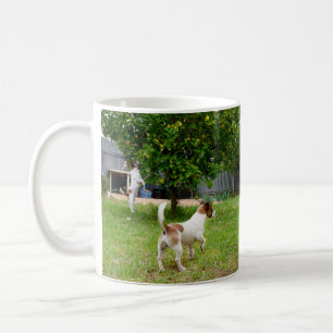 Caneca De Café Fox Terriers Playtime, Café Branco