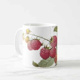 Caneca De Café framboesa (Rubus sp.) por Redouté