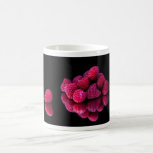 Caneca De Café Framboesa - Vida Estática
