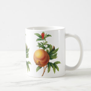 Caneca De Café Fruta Alimentícia Antiga, Romã por Redoute