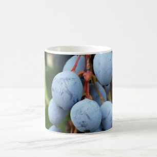 Caneca De Café Fruta de espinho negro