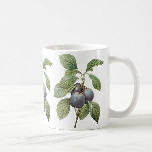 Caneca De Café Frutas Alimentícias Antigas, Ameixas de Jardim Rox