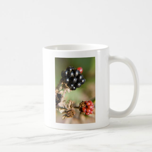 Caneca De Café Frutas do Outono (Direita)