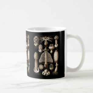 Caneca De Café Fungos