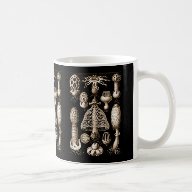 Caneca De Café Fungos (Direita)