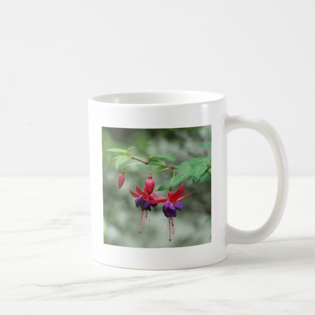 Caneca De Café Fuschia1A.jpg (Direita)