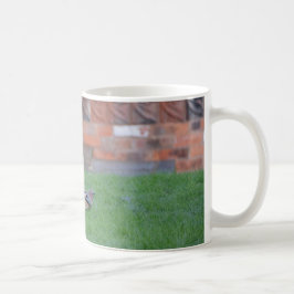 Caneca De Café Gaio-comum
