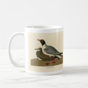 Caneca De Café Gaivota de cabeça negra das aves da América de Aud