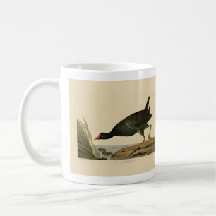 Caneca De Café Galáculo Comum das Aves da América de Audubon