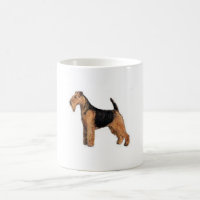 Galês Terrier