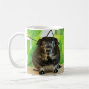 Caneca De Café Galinha-de-prata-branca