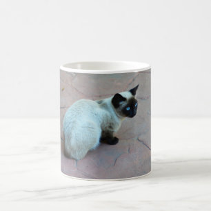 Caneca De Café Galinha de Siamese