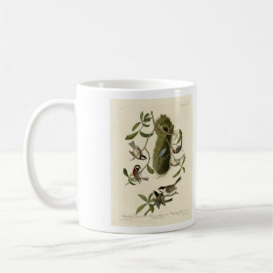 Caneca De Café Galinhas e Bushtit, Aves da América de Audubon