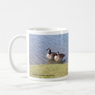 Caneca De Café Gansos canadenses ao longo do rio de Ottawa
