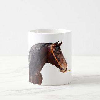 Caneca De Café garanhão andaluz no branco