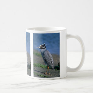Caneca De Café garça-real de noite Amarelo-coroada