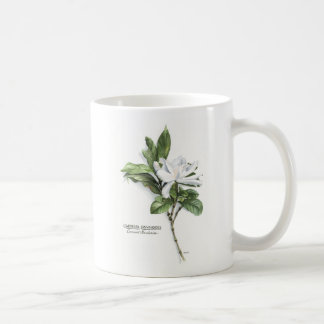 Caneca De Café Gardenia Jasminoides (Gardenia comum)