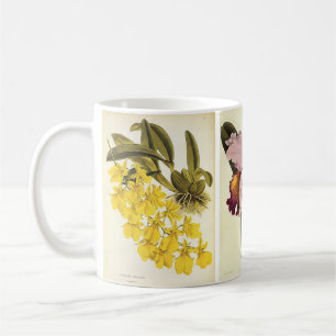 Caneca De Café Garrafa Floral Vintage, Flores Orquídeas Tropicai