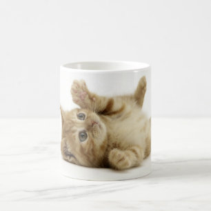 Caneca De Café Gatinho bonito