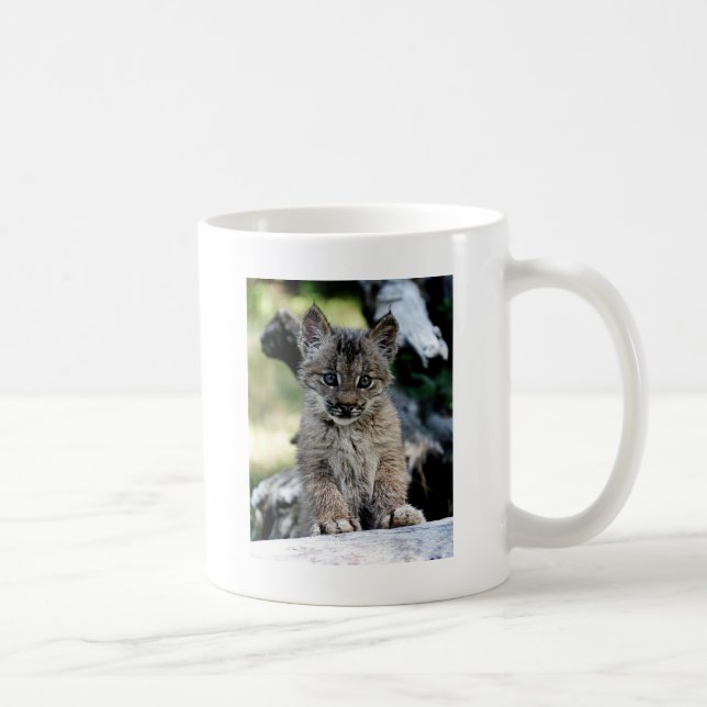 Caneca De Café Gatinho canadense do lince (Direita)