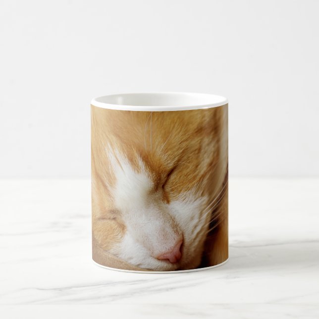 Caneca De Café Gatinho Dormindo (Centro)