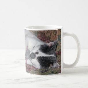 Caneca De Café Gatinho Dormindo