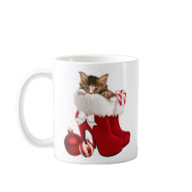 Gatinho em calçados do Natal