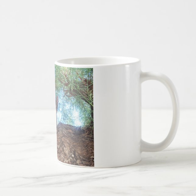 Caneca De Café Gatinho fofo brincando na floresta (Direita)
