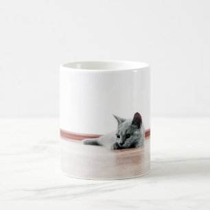 Caneca De Café Gatinho Gatinho Gelado Escocês Super Bonito