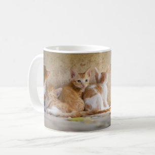 Caneca De Café Gatinho Listrado Laranja e Branco/ Adicione a Foto