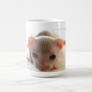 Caneca De Café Gatinho recém-nascido da esfinge