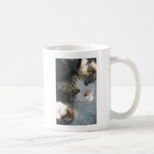 Caneca De Café Gatinho Reprodutor