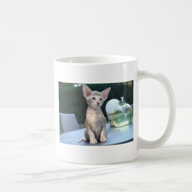 Caneca De Café Gatinho siamês em uma mesa (Direita)