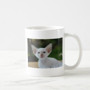 Caneca De Café Gatinho Siamês Super Fofo
