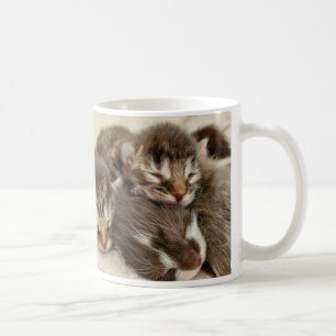 Caneca De Café Gatinhos dormindo