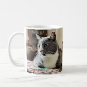Caneca De Café Gato