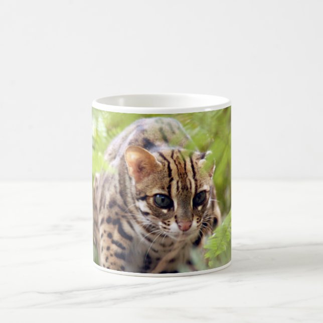 Caneca De Café Gato 004 de Bengal (Centro)