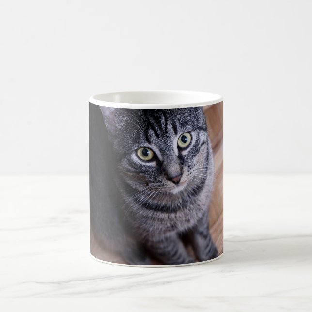 Caneca De Café Gato cinzento adorável (Centro)