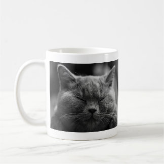 Caneca De Café Gato cinzento Napping