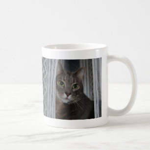 Caneca De Café Gato de Fotografia Mais Bonito Do Gatinho Felino