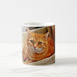Caneca De Café Gato de gato malhado alaranjado