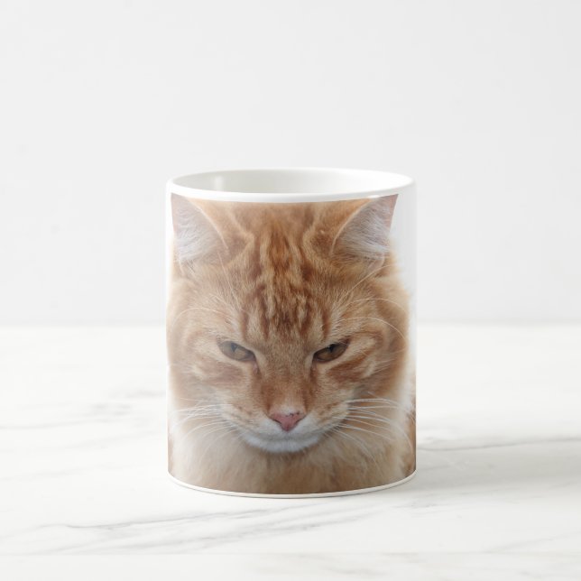 Caneca De Café Gato de gato malhado alaranjado (Centro)