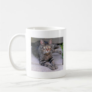 Caneca De Café Gato de gato malhado de Brown fora