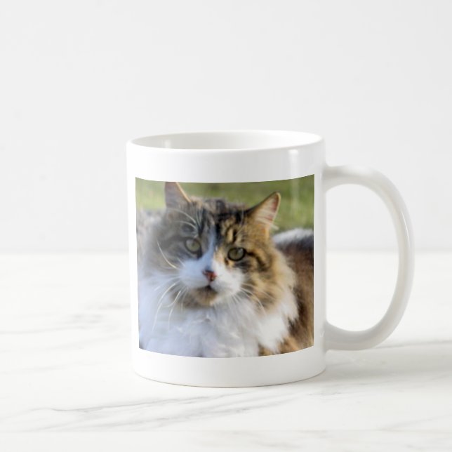 Caneca De Café Gato de racum de Maine (Direita)