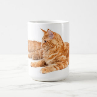 Caneca De Café Gato de racum de Maine