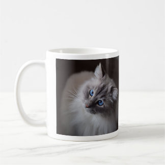 Caneca De Café Gato de Ragdolé de Olho Azul Bonito