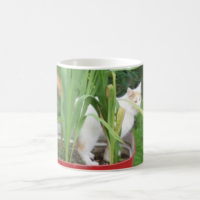 CANECA DE CAFÉ GATO DE VAN TURCO EM FLORES MUG (Centro)
