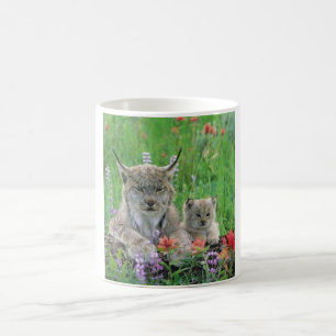 Caneca De Café Gato do lince & copo de café bonito do gatinho
