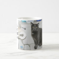 gato do lol