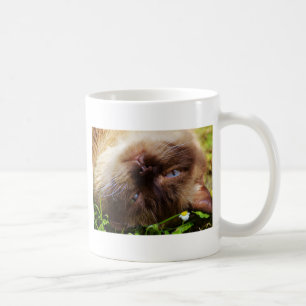 Caneca De Café gato fofo animal de estimação ronronar miar olhos